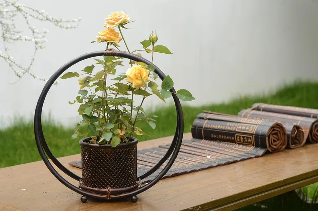 desk, natur, böcker, möbler, krukväxter, antiken, anläggningen, flower show. Vilka processer bör ett affärssystem stödja först?